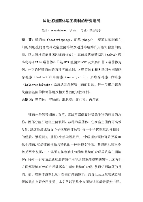 综述—试论述噬菌体溶菌机制的研究进展