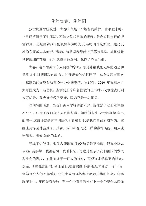 我的青春我的团 2