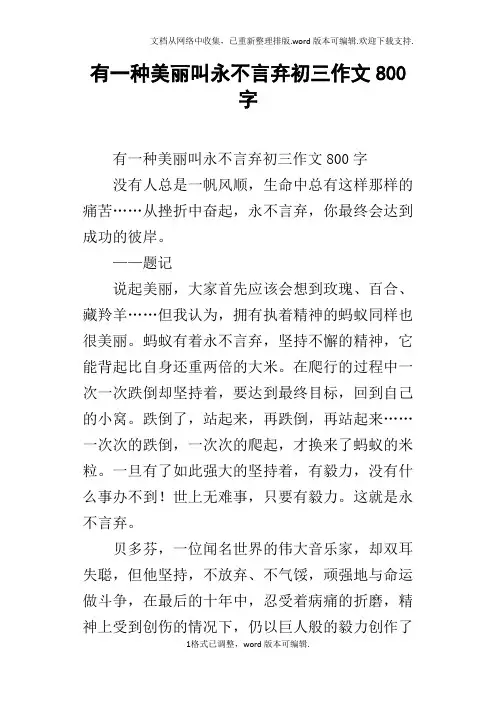 有一种美丽叫永不言弃初三作文800字