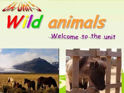 牛津译林英语八(上)Unit 5 Wild animals welcome to the unit 公开课教学课件(共31张PPT)