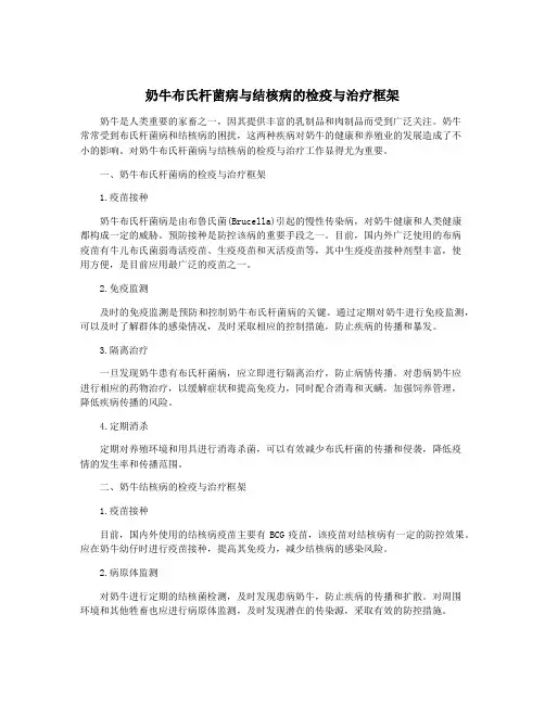奶牛布氏杆菌病与结核病的检疫与治疗框架