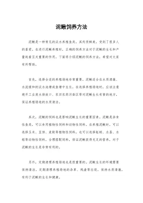 泥鳅饲养方法