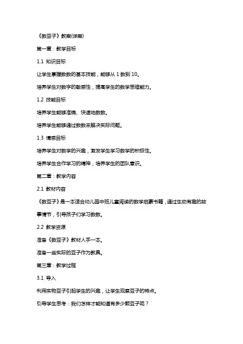 《数豆子》教案(详案)