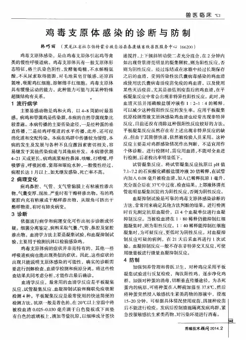 鸡毒支原体感染的诊断与防制