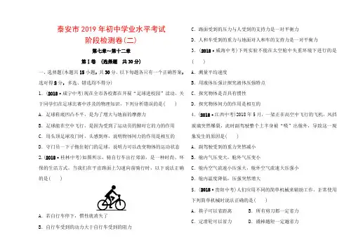 泰安市2019年初中学业水平考试_中考物理阶段检测卷(二).doc