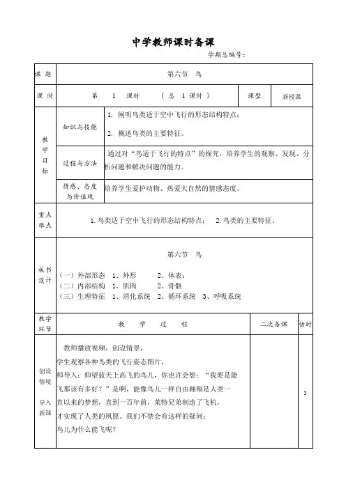 新人教版_第六节_鸟_教案(自制)