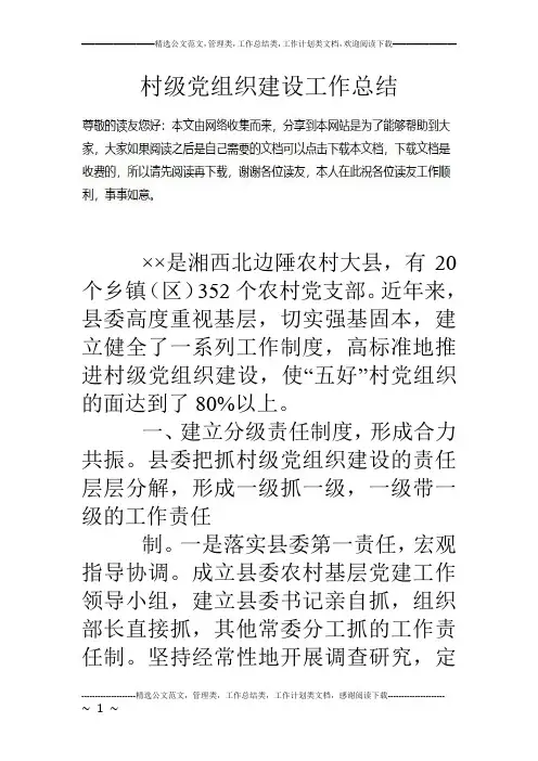 村级党组织建设工作总结