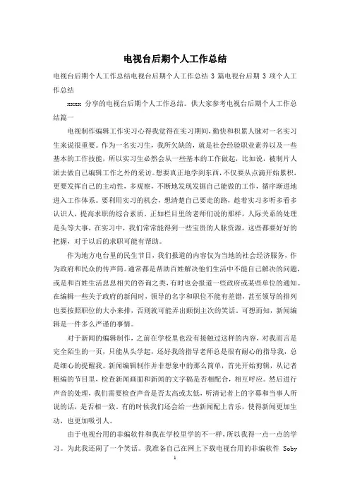 电视台后期个人工作总结