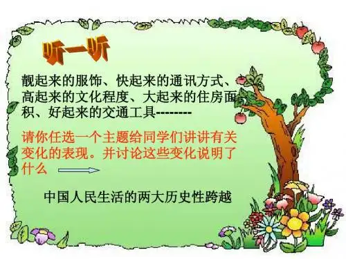 九年级品德 全面建设小康社会