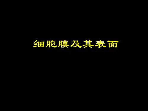 细胞膜及其表面