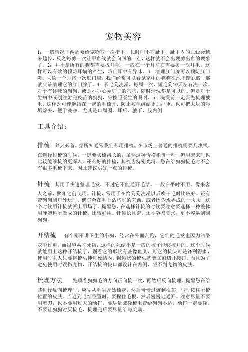 宠物美容