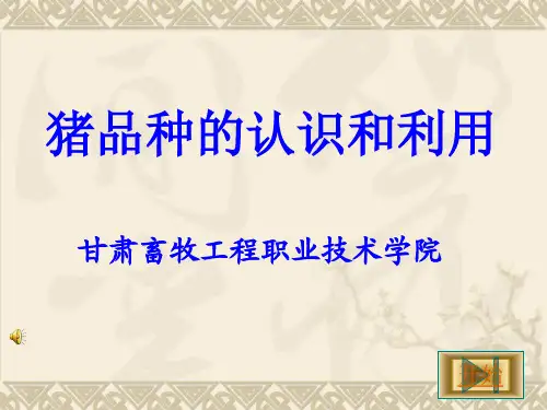 猪生产学-猪品种的认识和利用分解