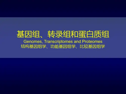 第4章基因组、转录组和蛋白组