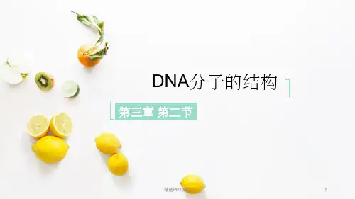 DNA分子的结构(优质完整)PPT课件