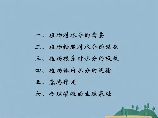 第一章植物的水分生理(共54张PPT)
