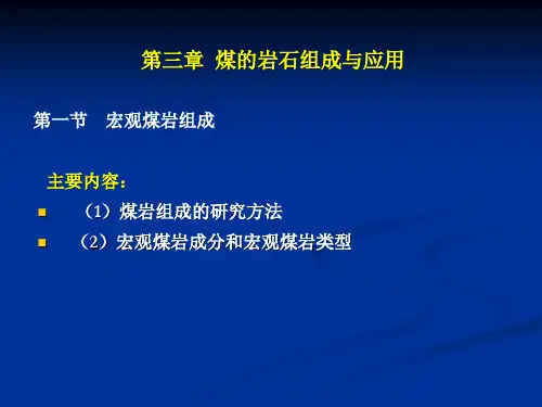 第三章煤的岩石组成