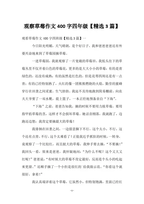 观察草莓作文400字四年级【3篇】