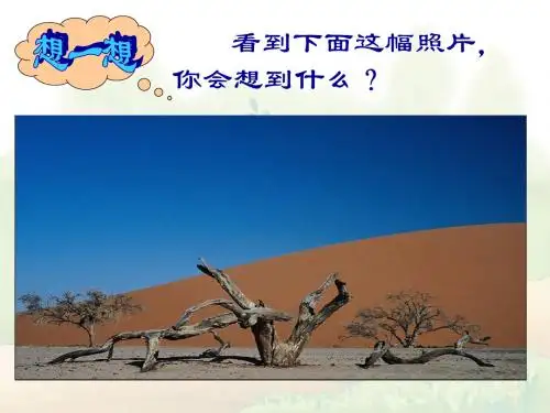 【高中语文】汉家寨ppt精品课件17
