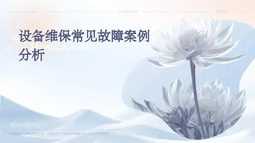 设备维保常见故障案例分析