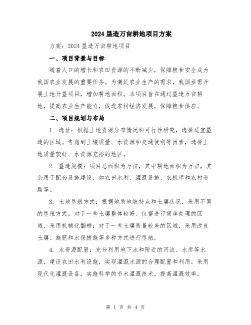 2024垦造万亩耕地项目方案