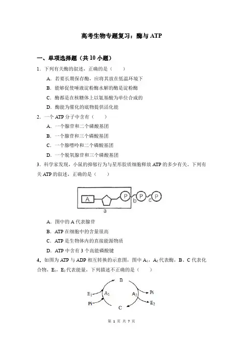 高考生物专题复习：酶与ATP