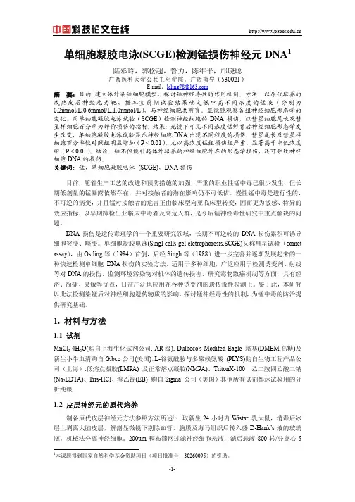 单细胞凝胶电泳(SCGE)检测锰损伤神经元DNA
