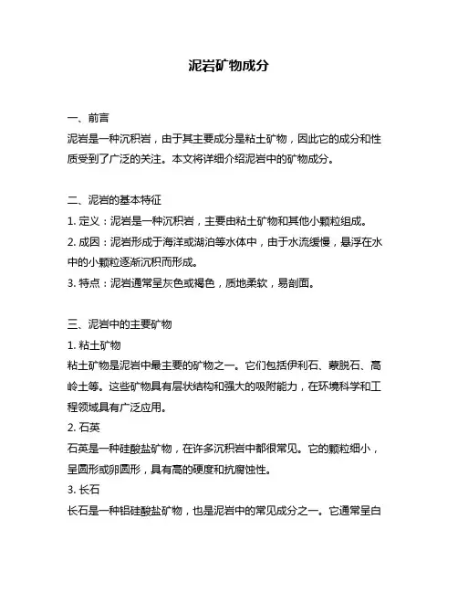 泥岩矿物成分