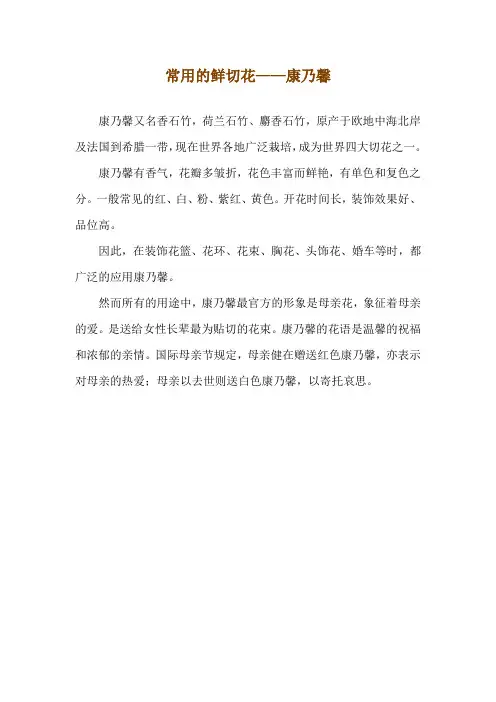 常用的鲜切花——康乃馨