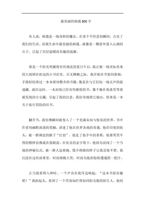 最美丽的相遇800字
