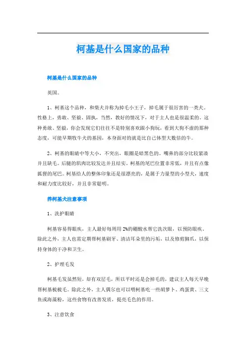柯基是什么国家的品种