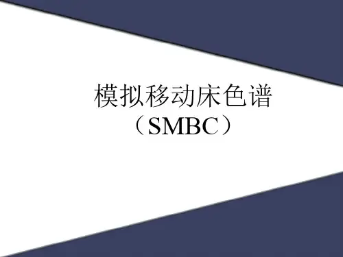 模拟移动床色谱(SMBC)..