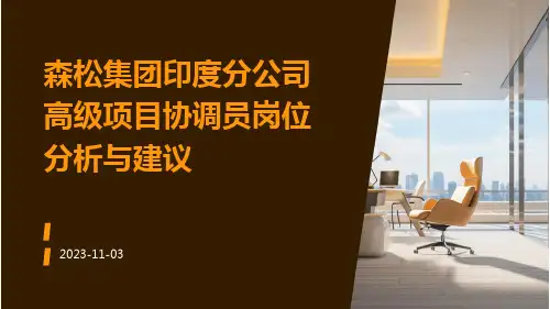 森松集团印度分公司高级项目协调员岗位分析与建议