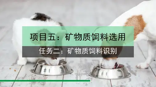 矿物质饲料选用—矿物质饲料识别(动物营养与饲料课件)