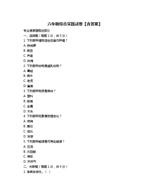 六年级综合实践试卷【含答案】