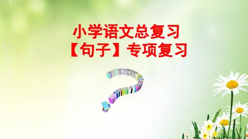 小学六年级语文总复习【句子】专项复习课件