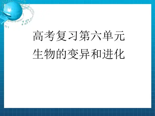 复习生物的变异和进化