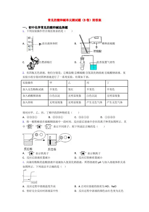 常见的酸和碱单元测试题(B卷)附答案
