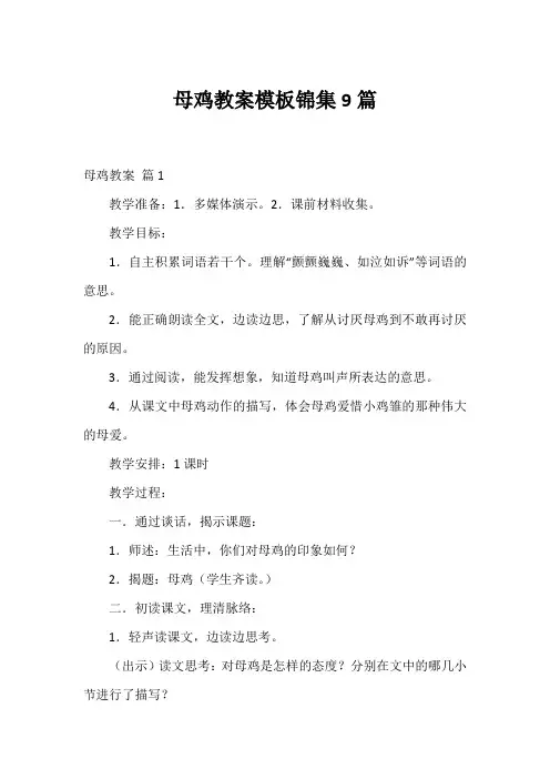 母鸡教案模板锦集9篇