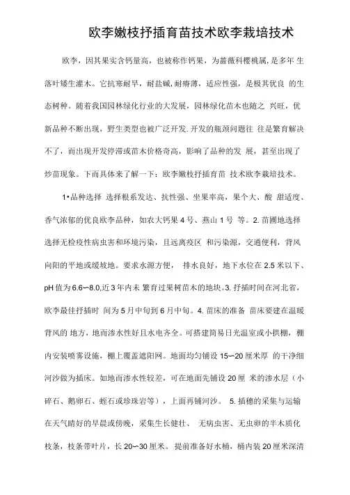 欧李嫩枝扦插育苗技术欧李栽培技术
