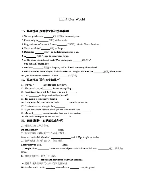 2022年八年级英语上册Unit4同步练习(含答案)