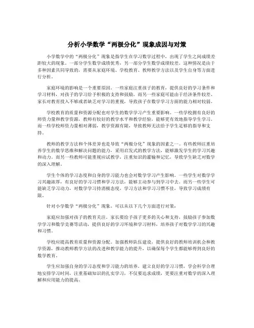 分析小学数学“两极分化”现象成因与对策