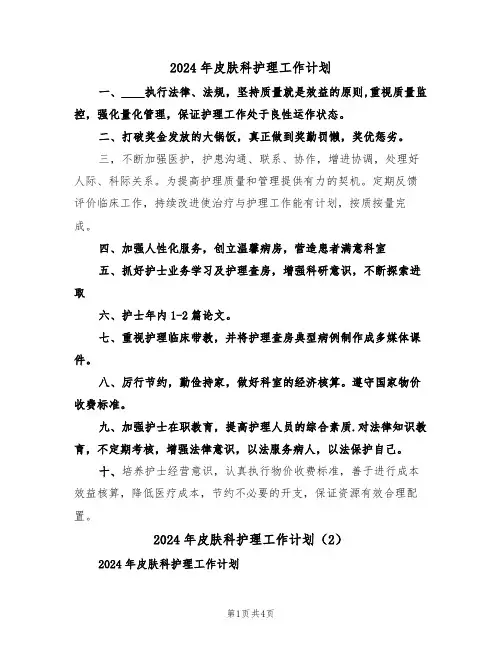 2024年皮肤科护理工作计划(2篇)