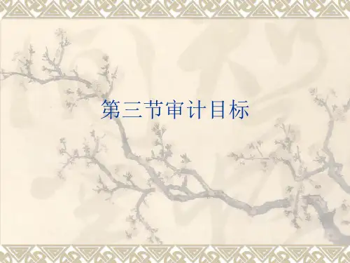 审计学--审计目标(精)
