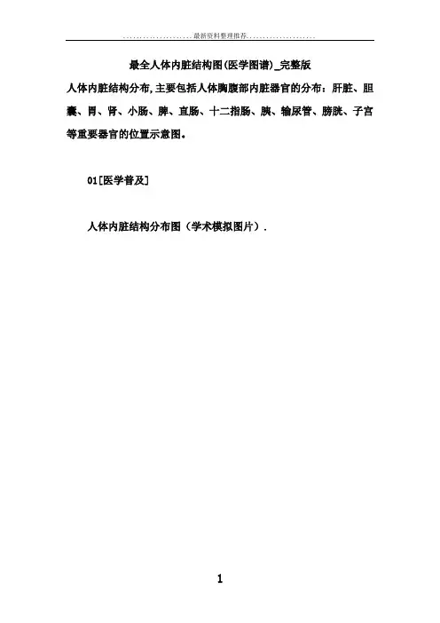 最全人体内脏结构图(医学图谱)_完整版 2
