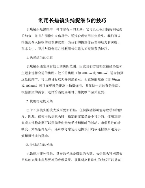 利用长焦镜头捕捉细节的技巧