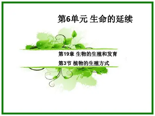 北师大版生物八上19.3《植物的生殖方式》 课件(共38张PPT) (1)