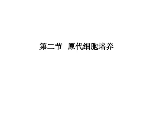 高中生物精品资源动物细胞工程第二节 原代细胞培养课件高中生物竞赛