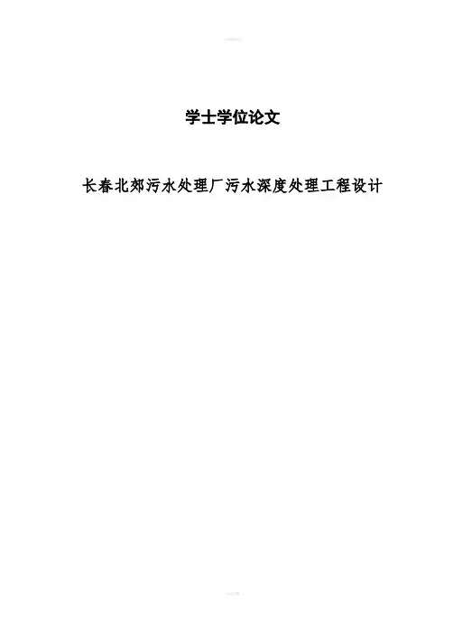 污水处理厂污水深度处理工程设计学士学位