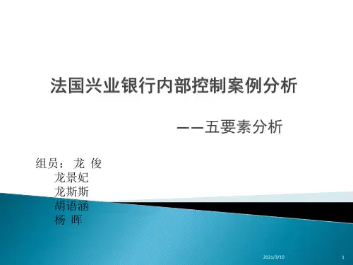 法国兴业银行内部控制案例分析