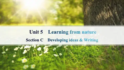 外研版高中英语选择性必修第三册精品课件 Unit 5 Section C